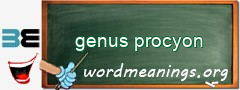 WordMeaning blackboard for genus procyon